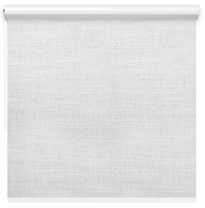 Roleta przepuszczająca w kasecie kolor  <br>PLATYNOWY EC-03