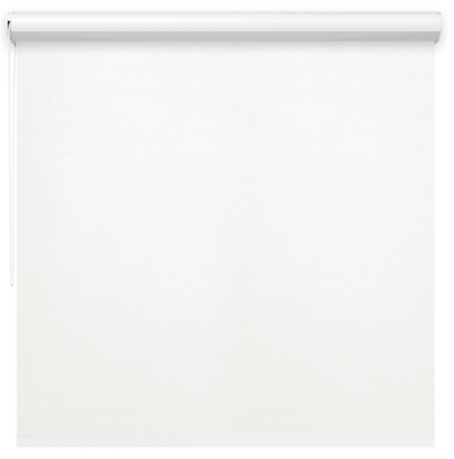 Roleta przepuszczająca w kasecie kolor  <br>BIAŁY EC-01