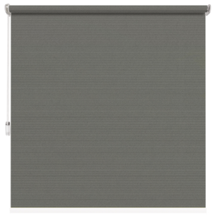Roleta przepuszczająca kolor <br> SZARY BSC-206-03